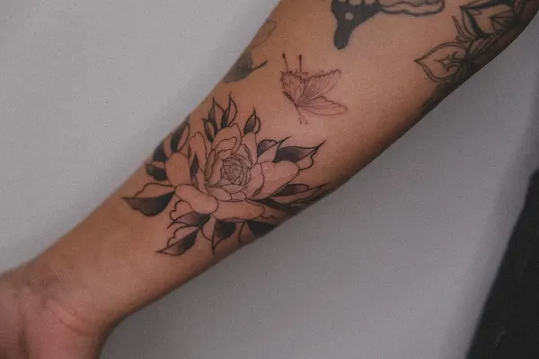 Flower, Rose