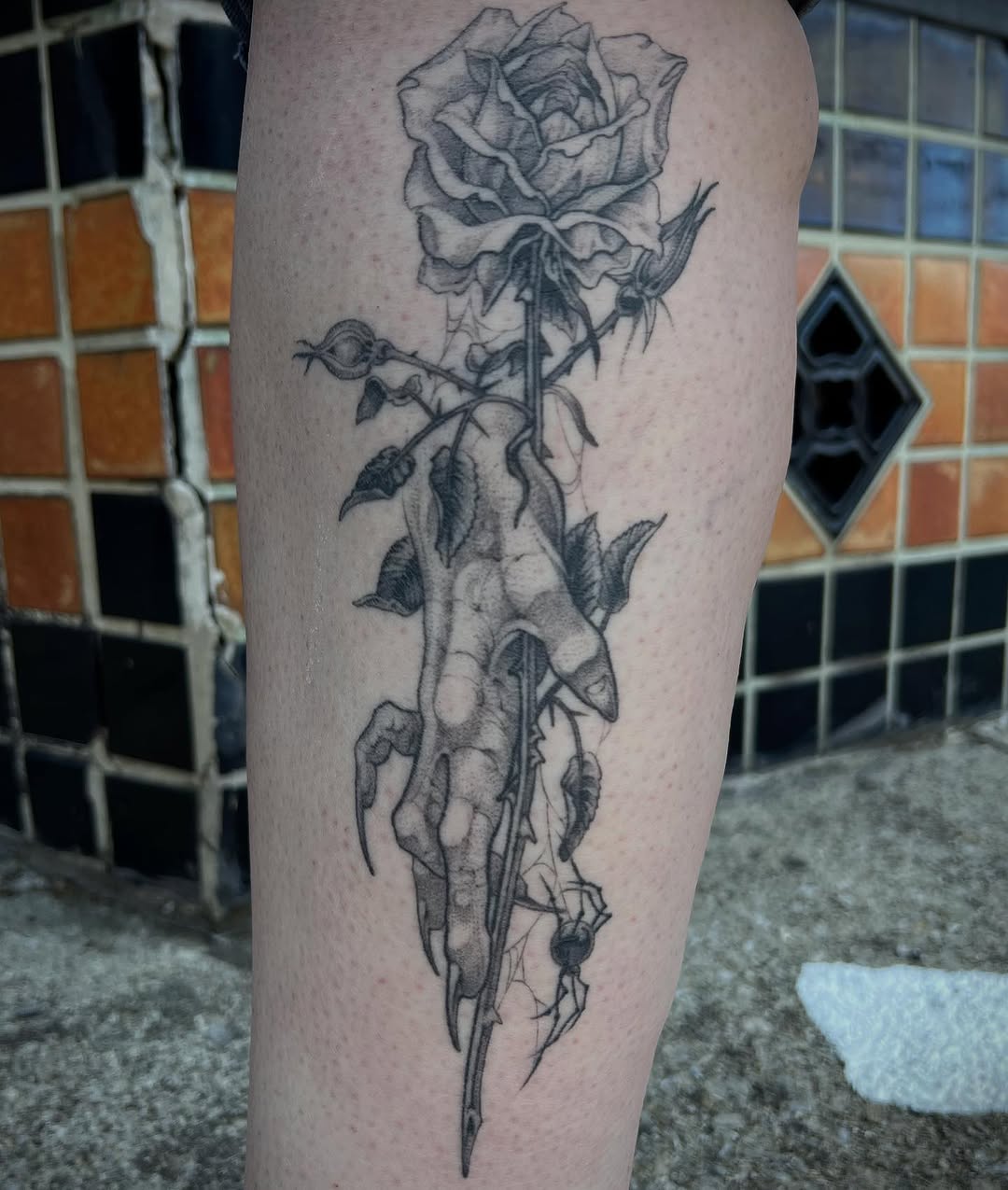 Flower, Rose