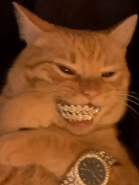 Milo._.club