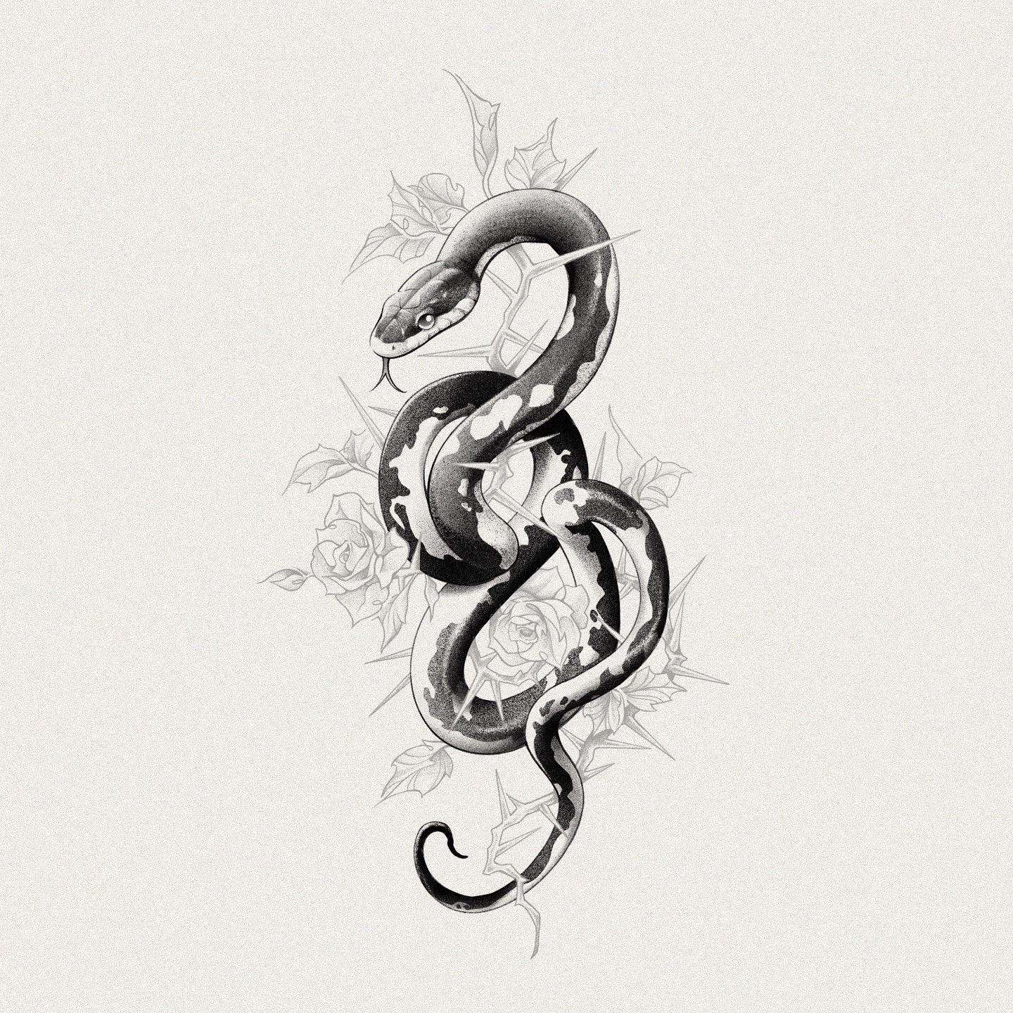 Snake, Dragon