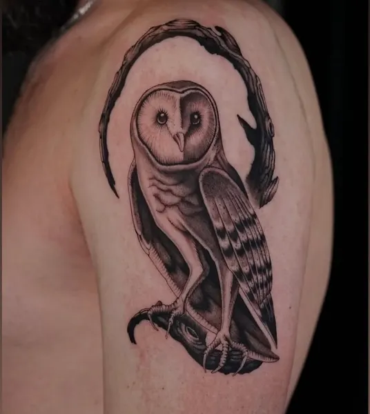 Nature, Animal