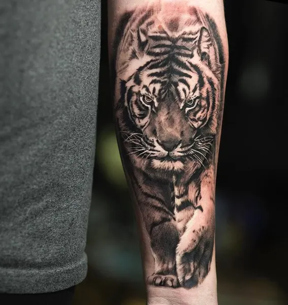 Tiger, 중국 호랑이