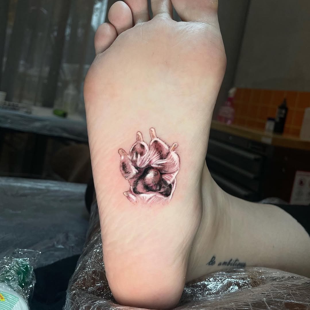 Animal