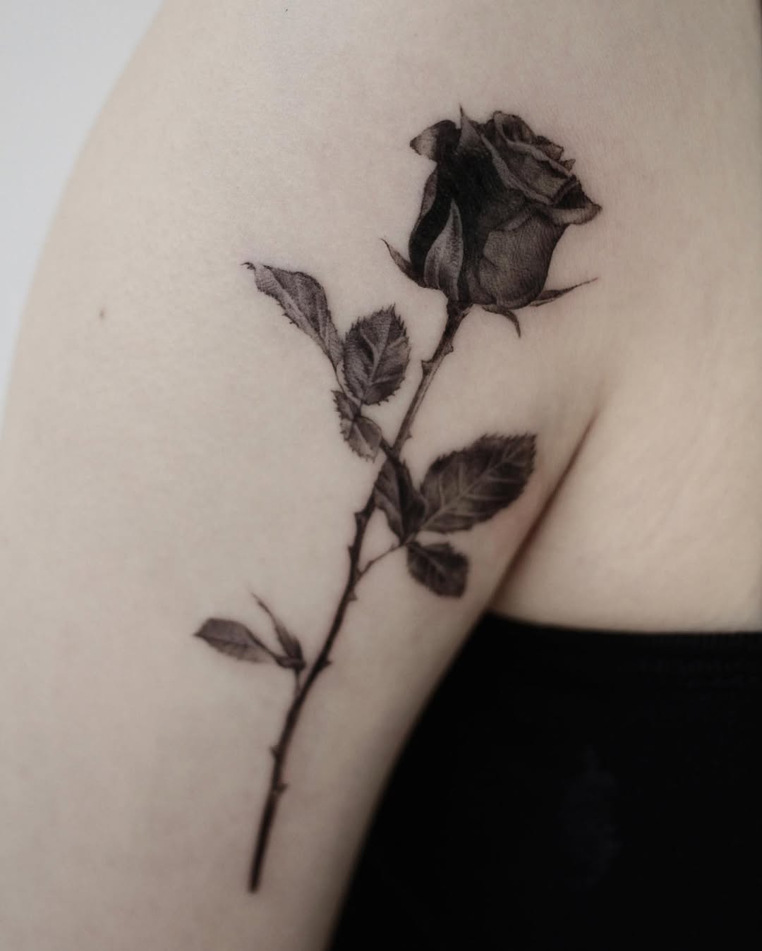 40.tatt