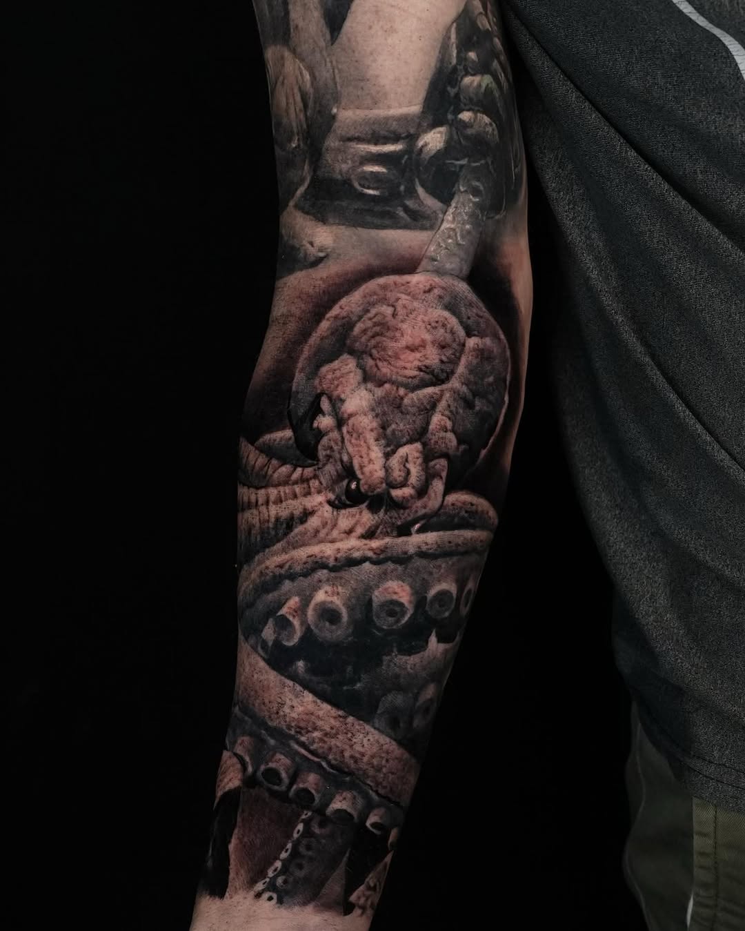 Animal