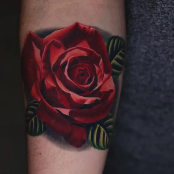 Flower, Rose