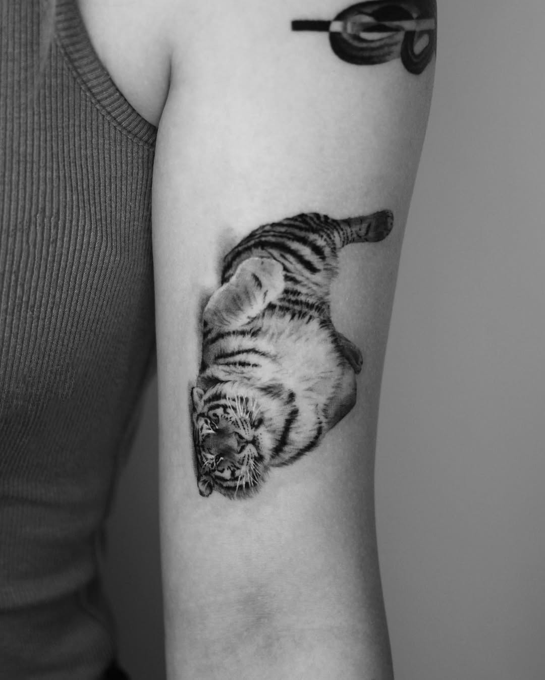 40.tatt
