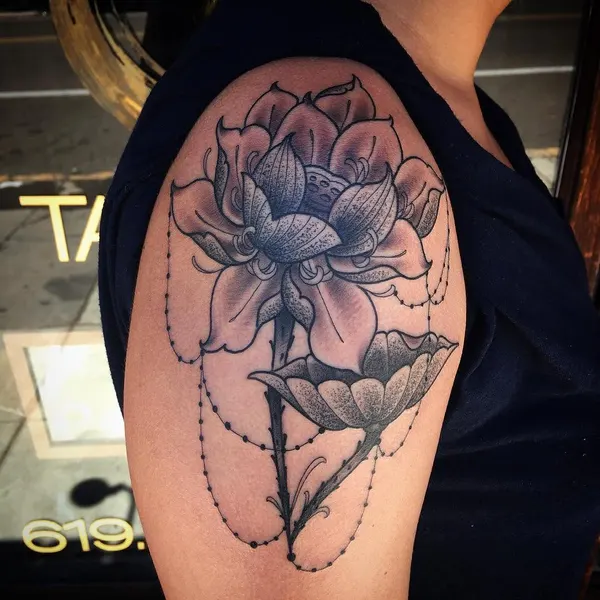 Flower, Rose
