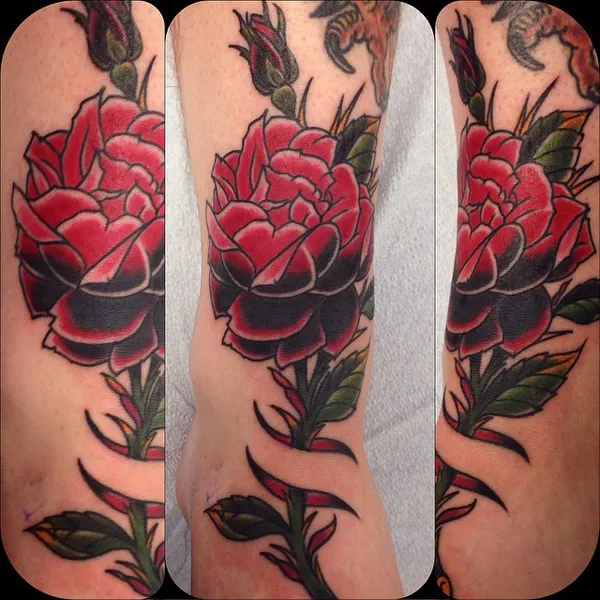 Flower, Rose