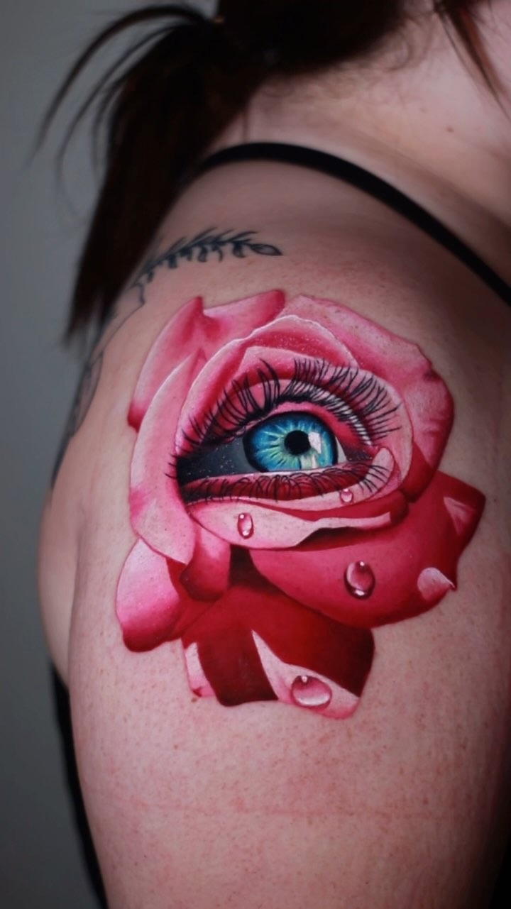 Flower, Rose, Nature