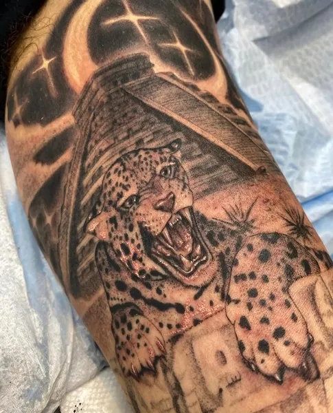 Animal, Tiger