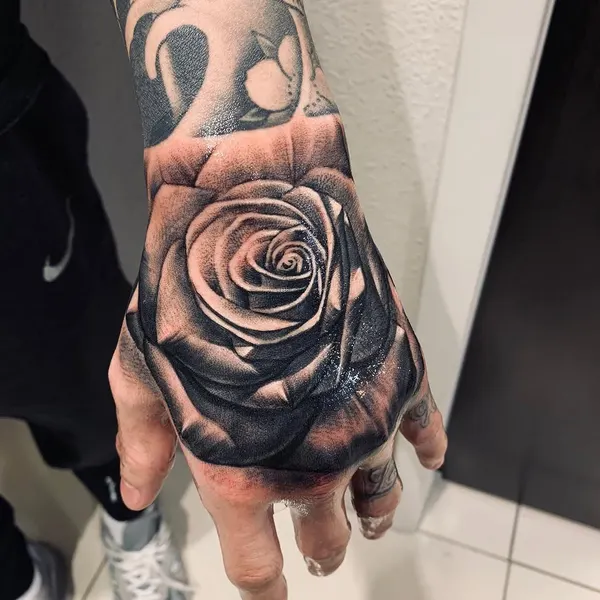 Flower, Rose
