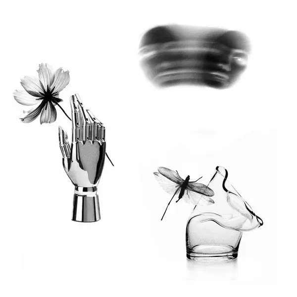 plantsnpokes