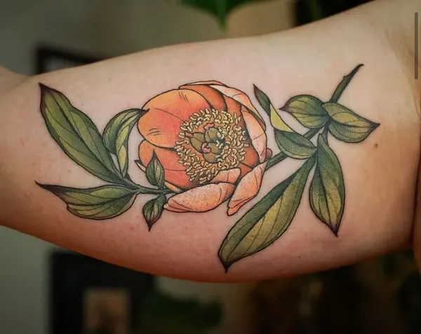 Flower, Rose