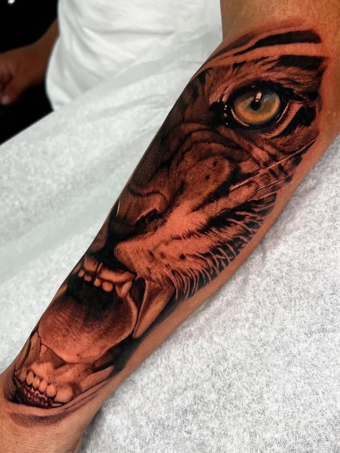 Tiger