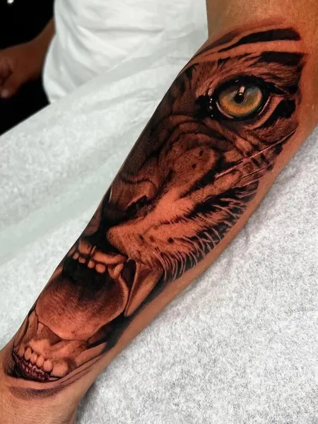 Tiger
