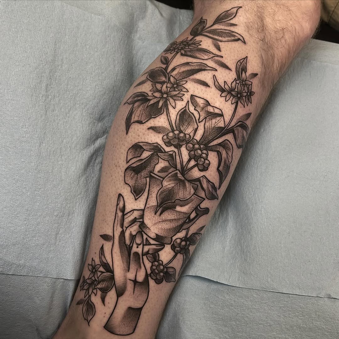 sarastigmata