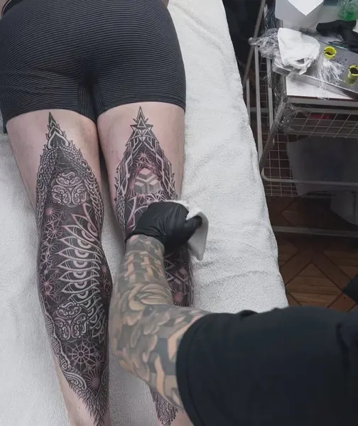 Animal, Dragon