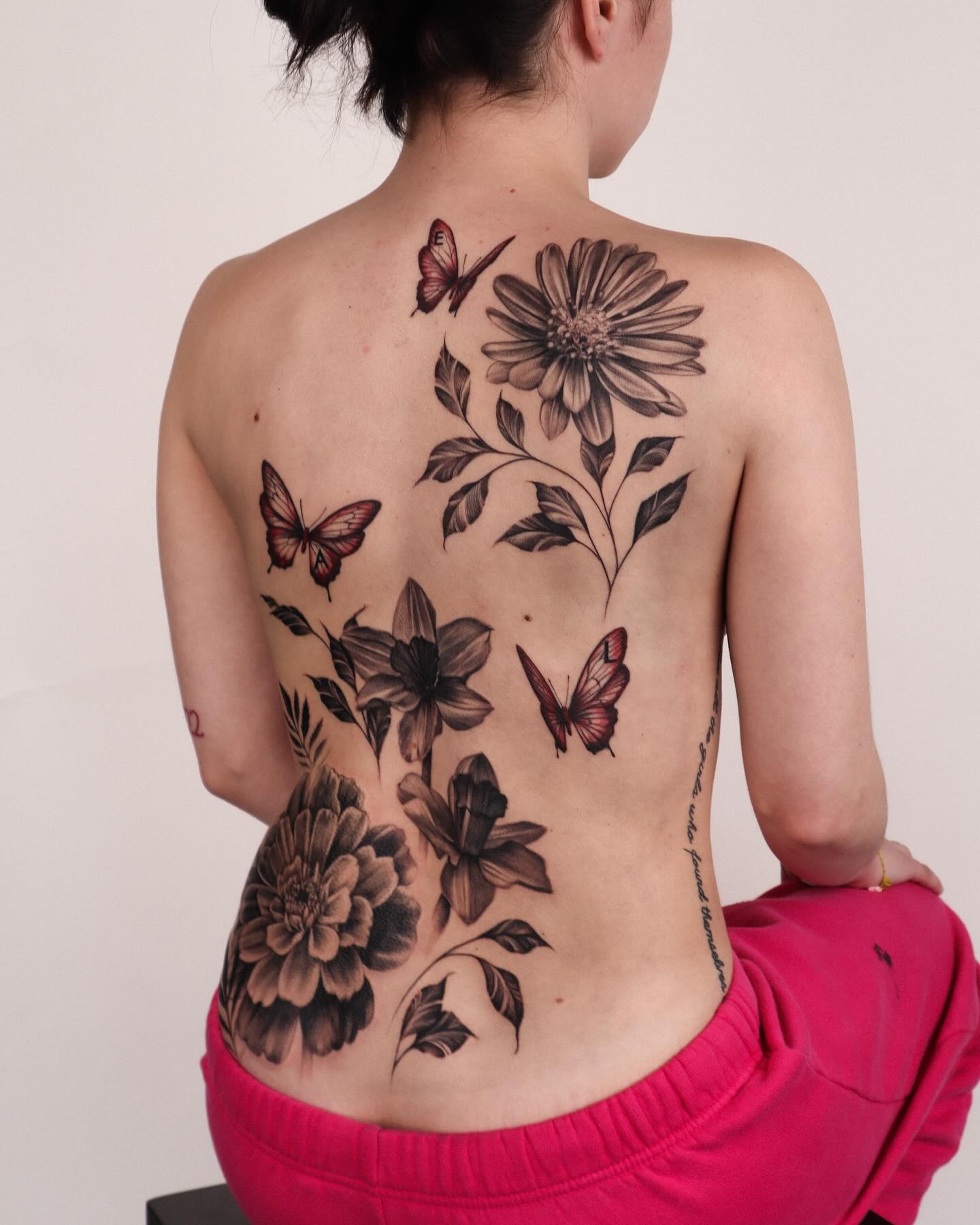 Flower, Nature, Rose