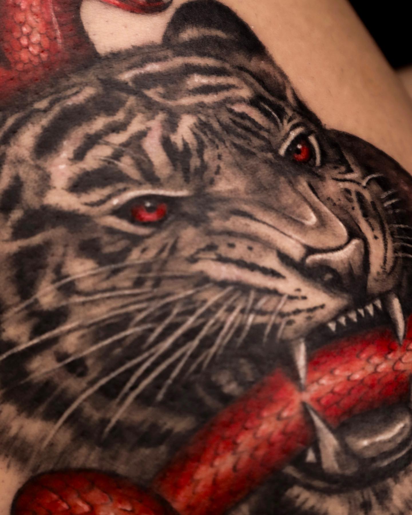 Tiger