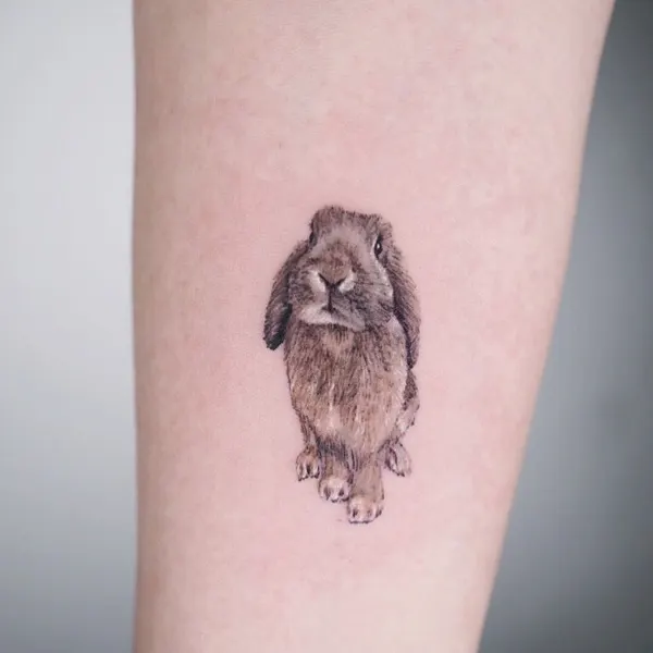 Animal