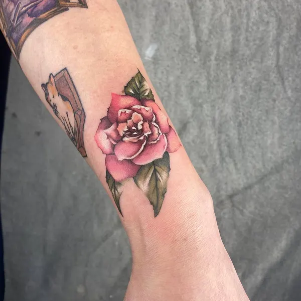 Flower, Rose