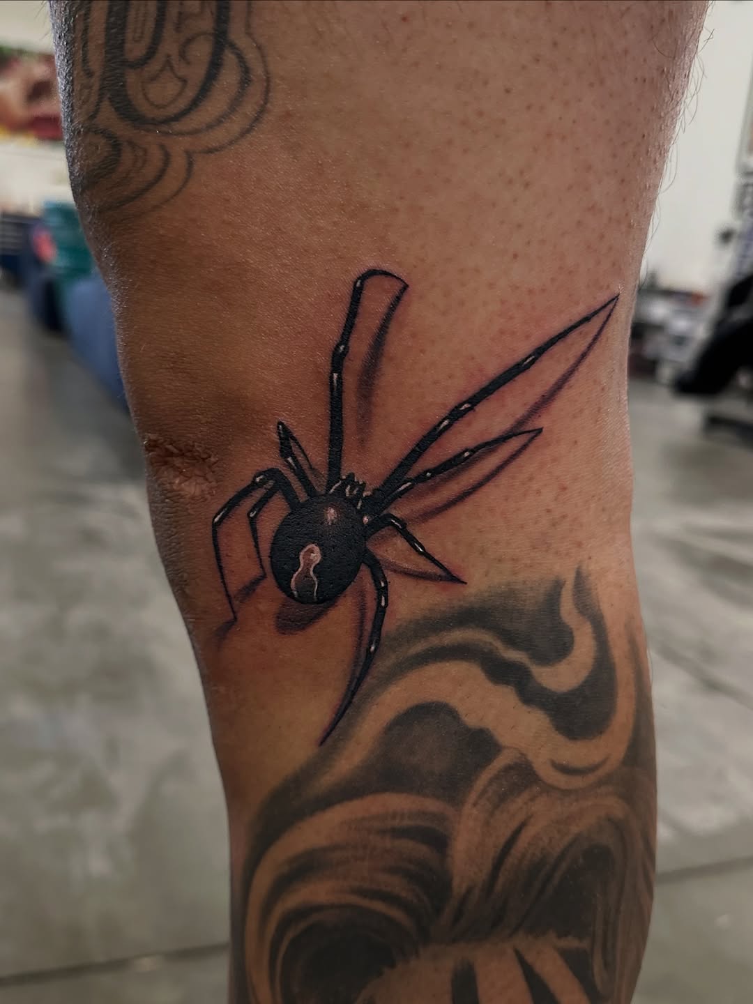 Animal