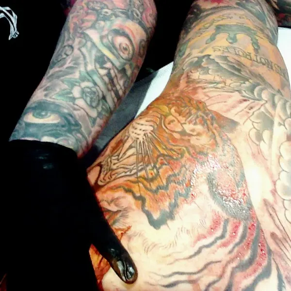 Tiger