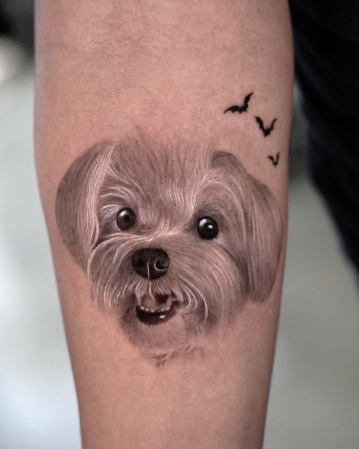 Animal
