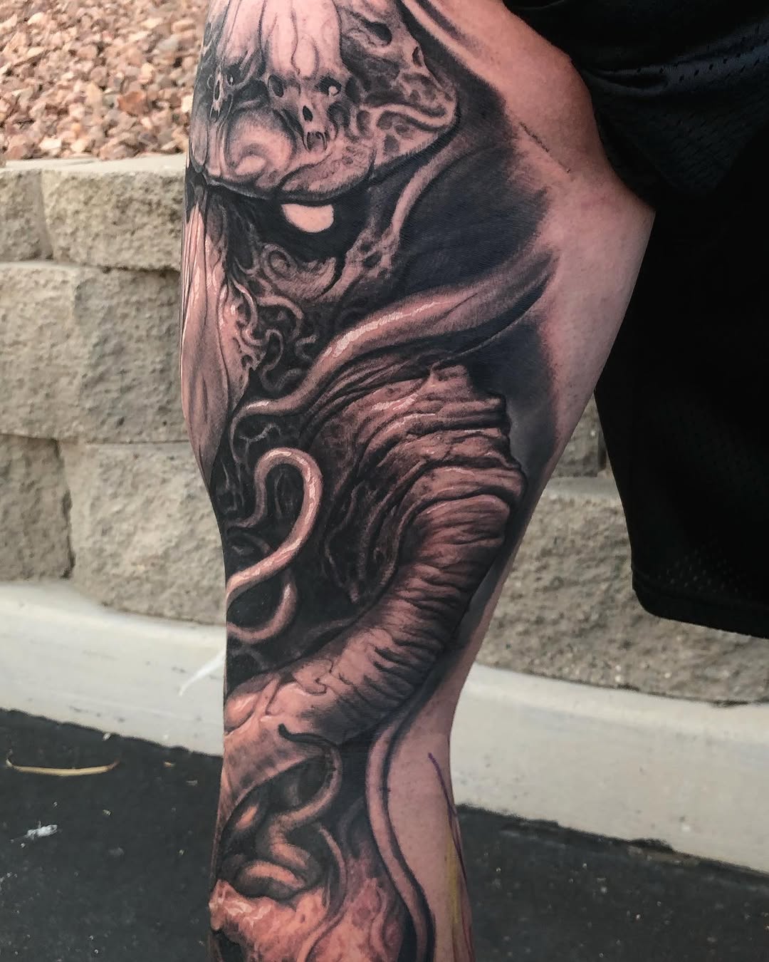 Dragon, Animal