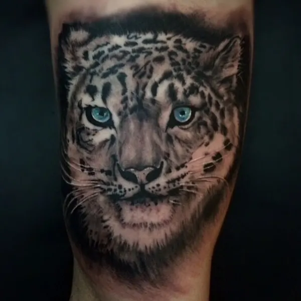 Animal