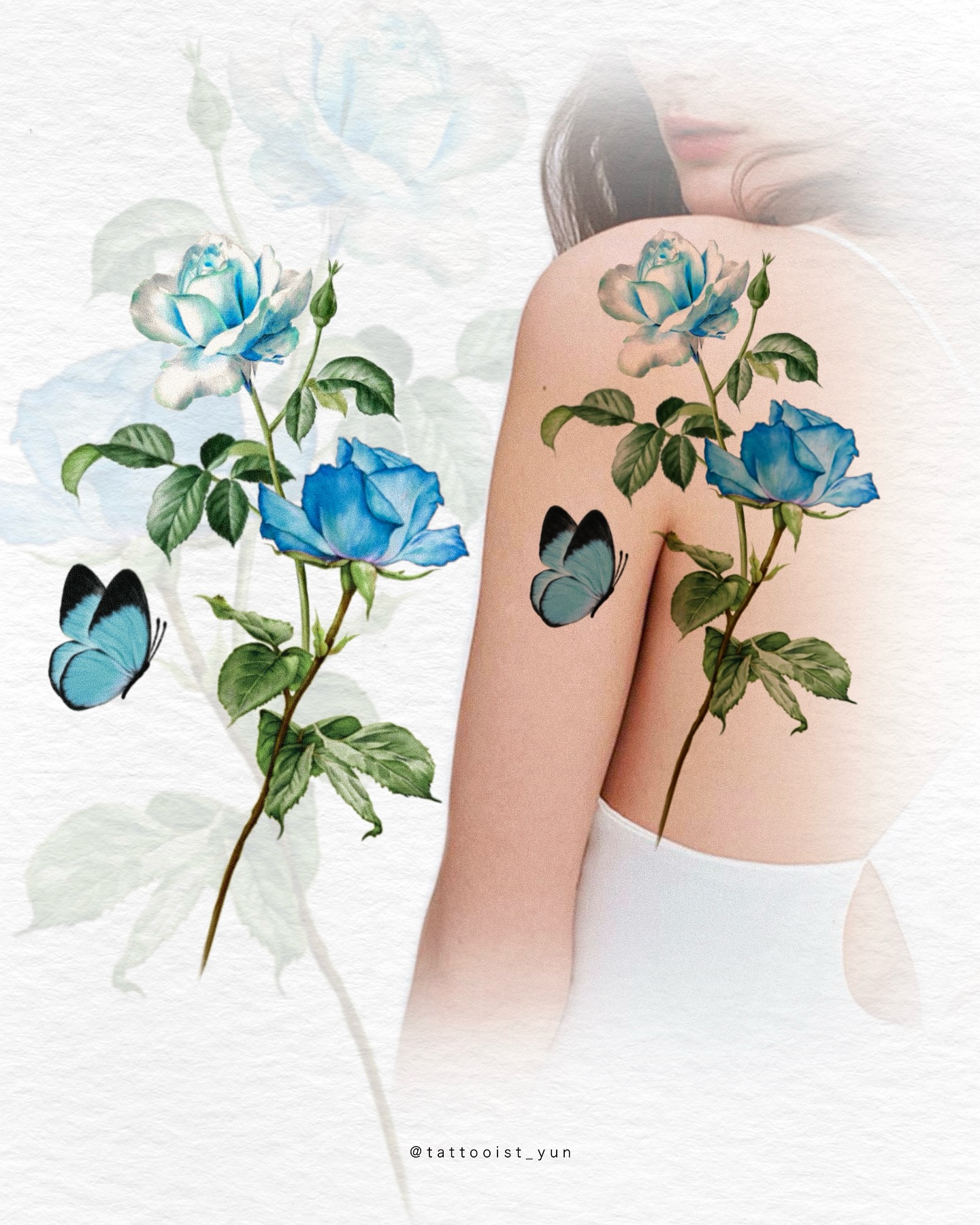 Flower, Rose, Nature