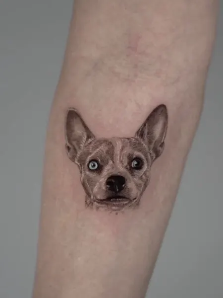 lewis.tattoo