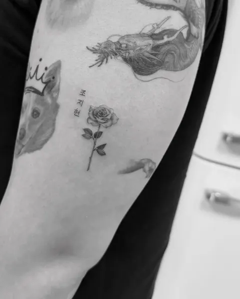 Flower, Rose