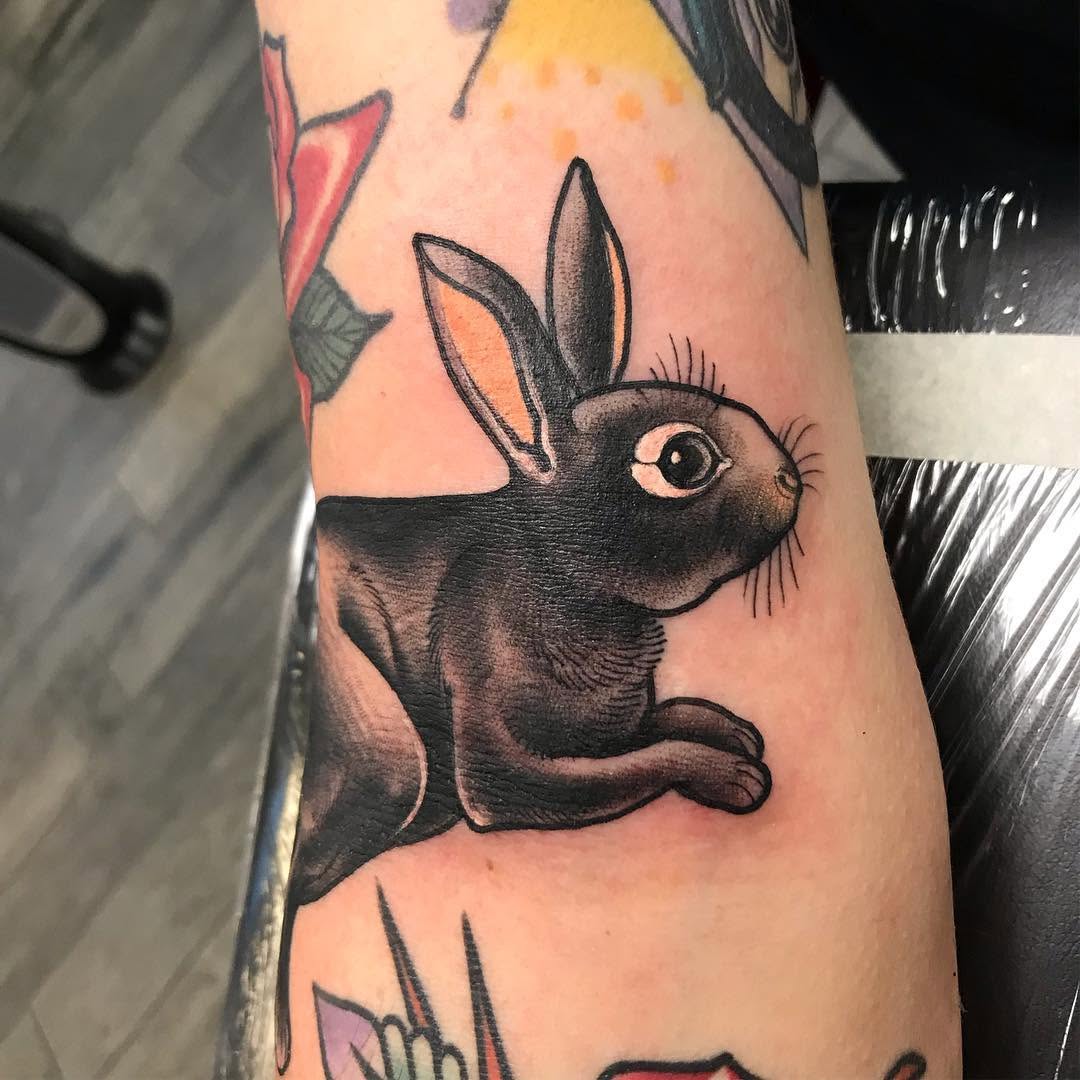 Animal