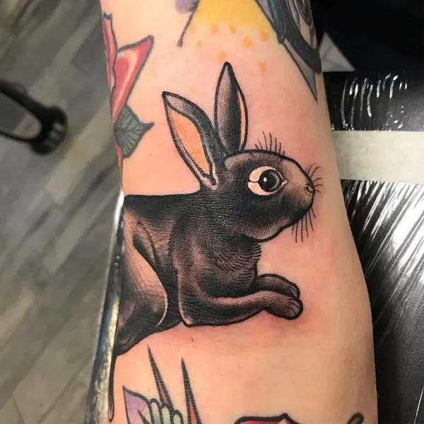 Animal