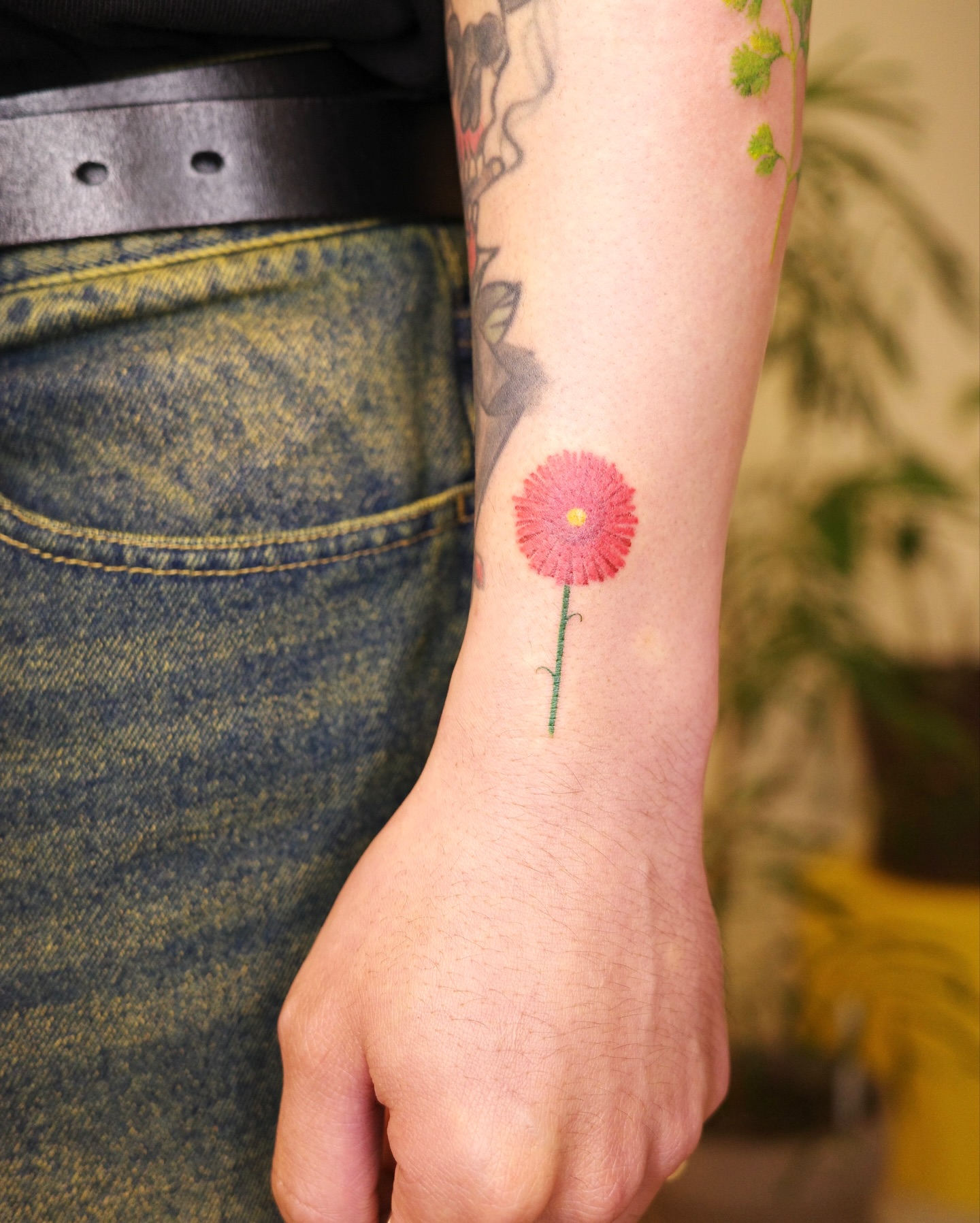 Flower, 해바라기, 데이지