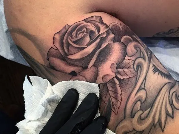 Flower, Rose