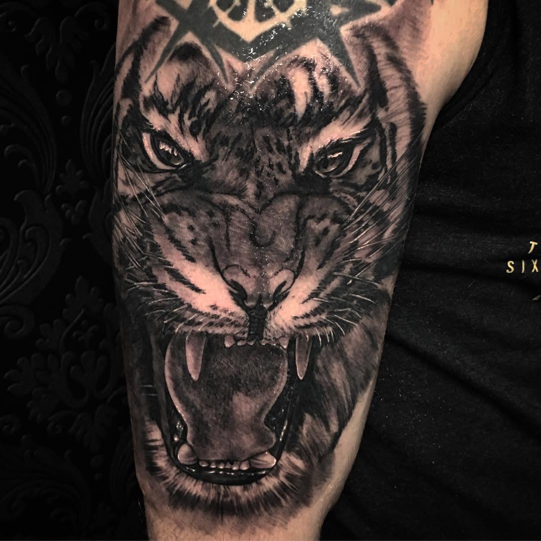 Tiger