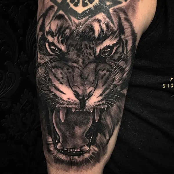 Tiger
