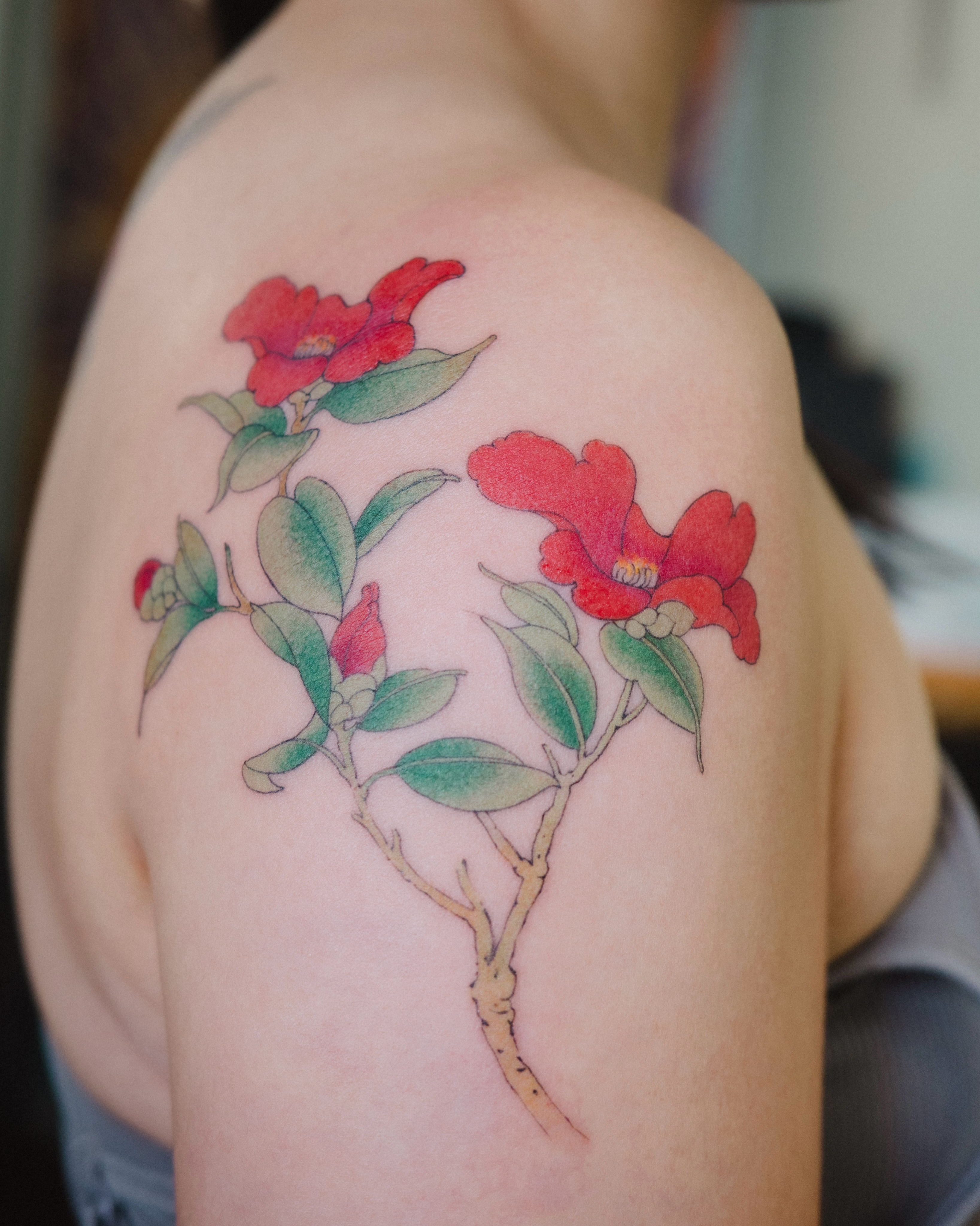 Flower, Rose, Nature