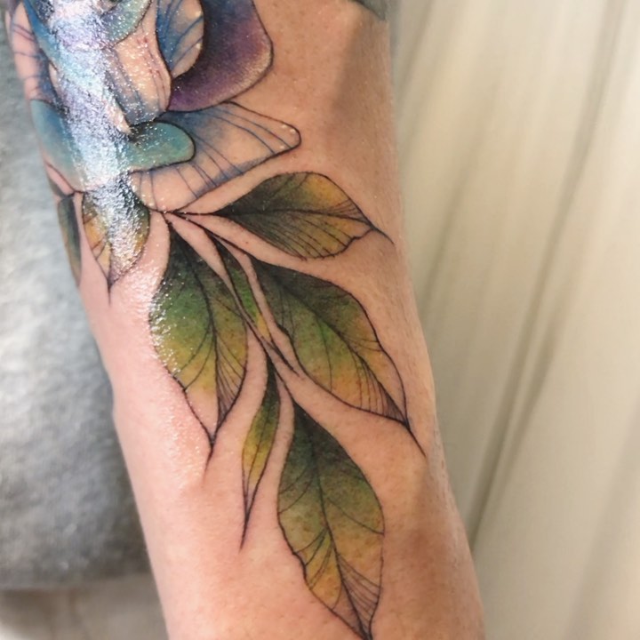 Rose, Flower