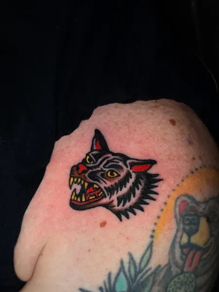Animal, Tiger