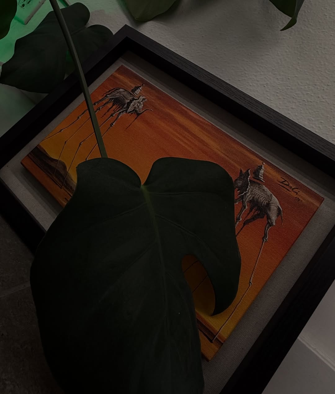 Fabio Month