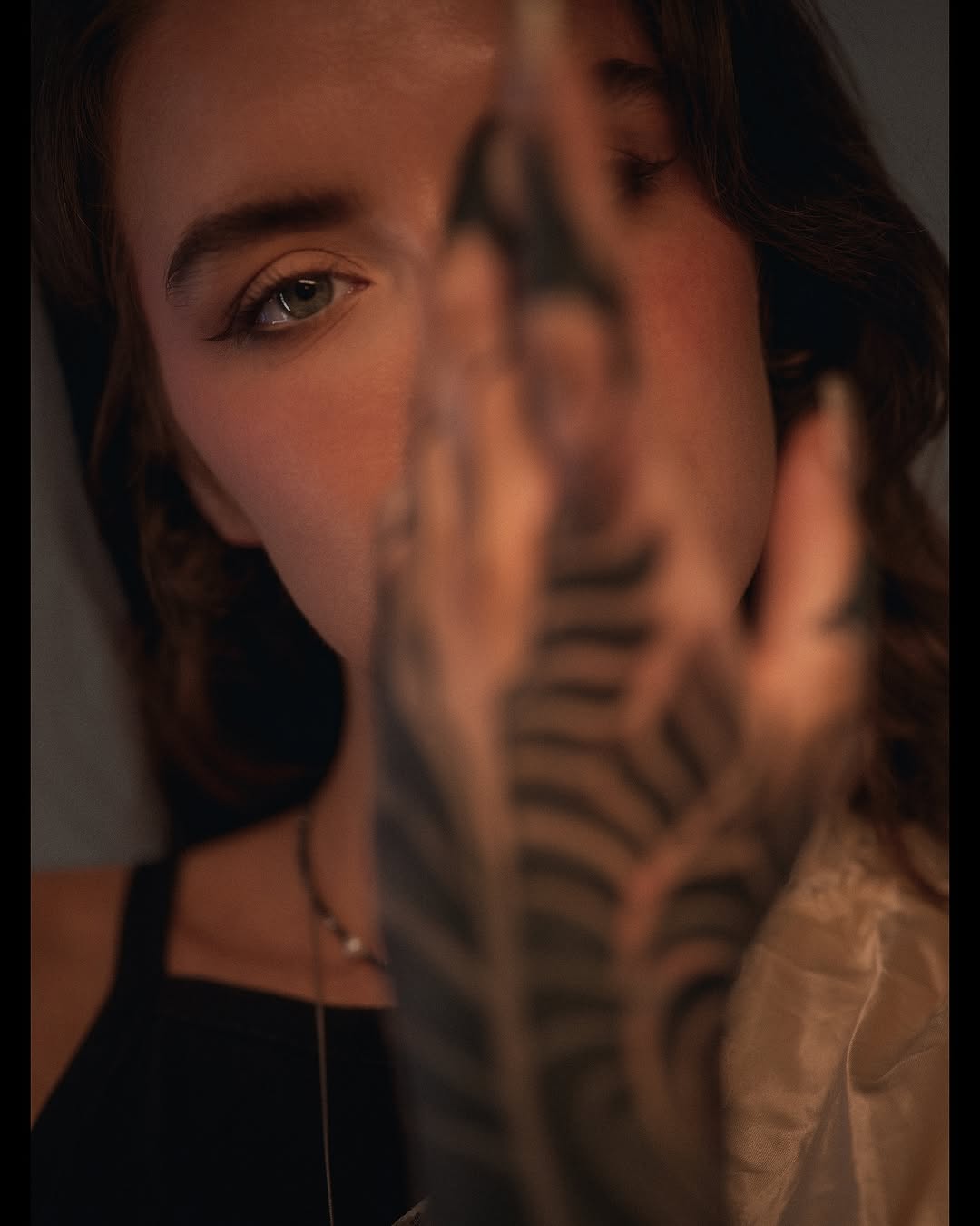 fibs_