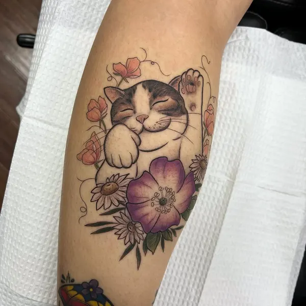 고양이