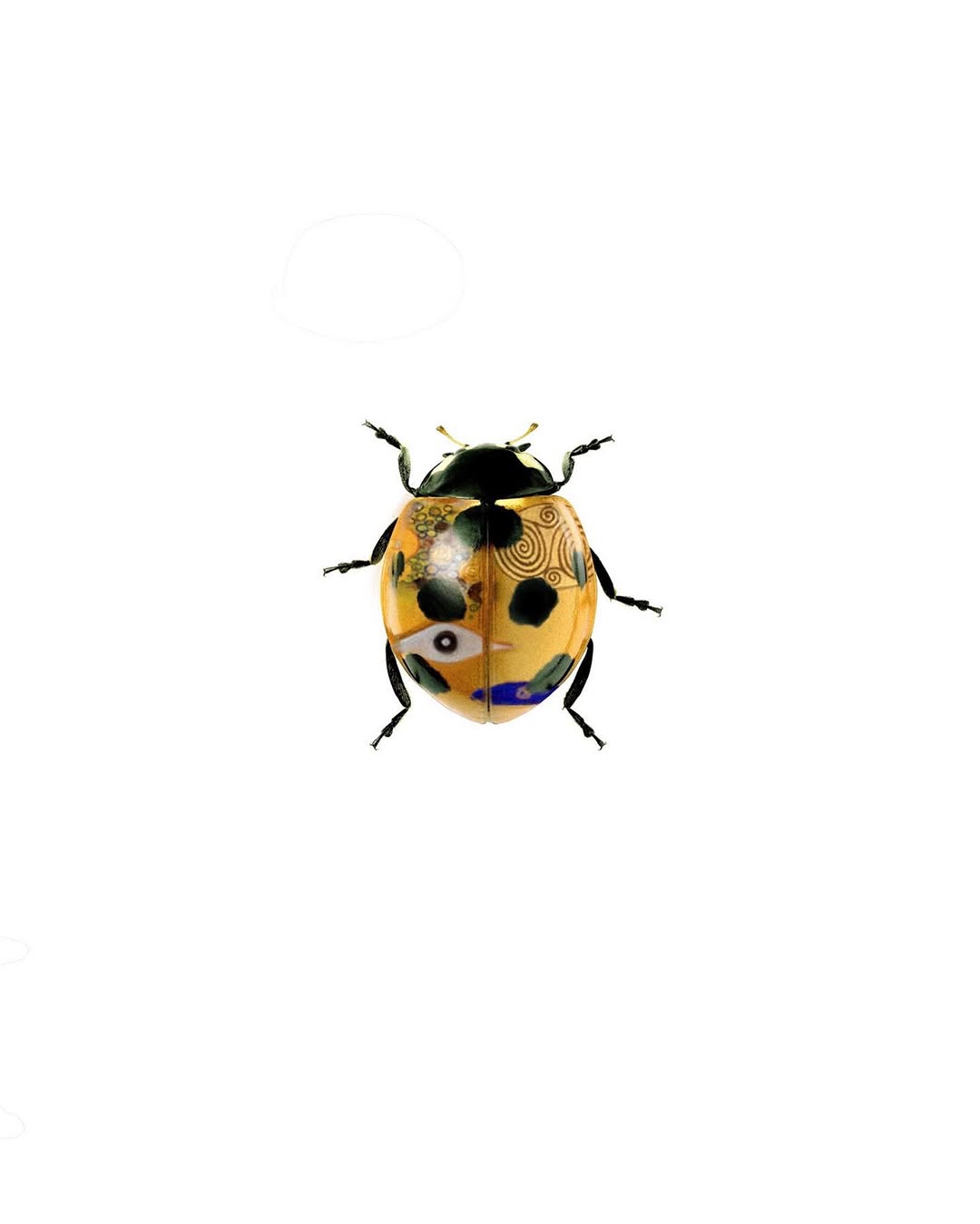 caotida
