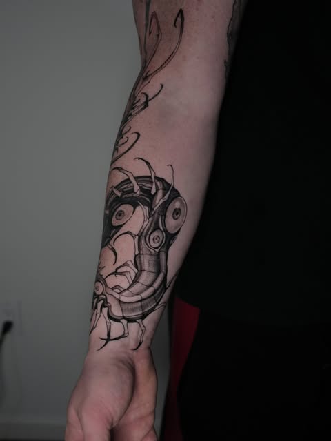 Dragon