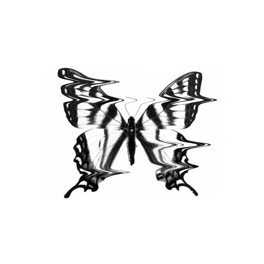 plantsnpokes