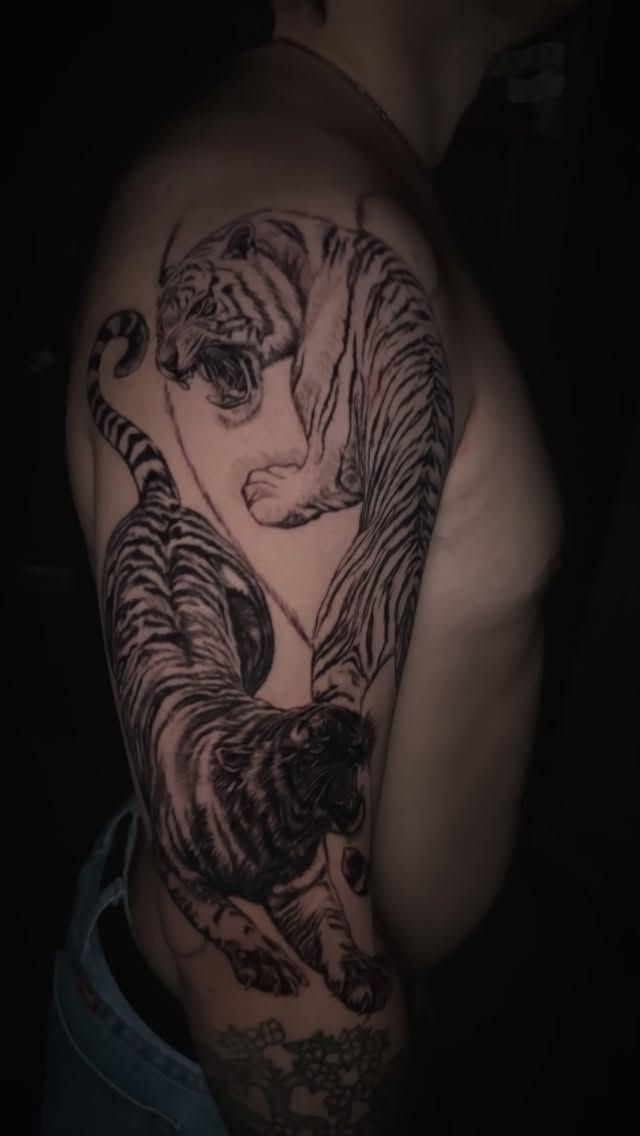 Tiger